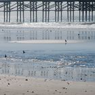 Los Angeles - Venice Beach