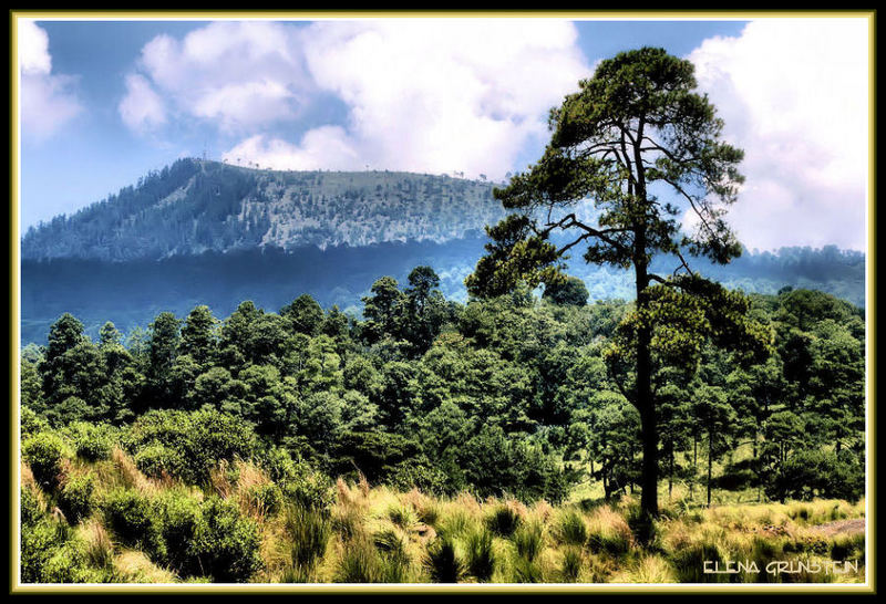 Los bosques de Huitzilac Imagen & Foto paisajes, naturaleza Fotos de