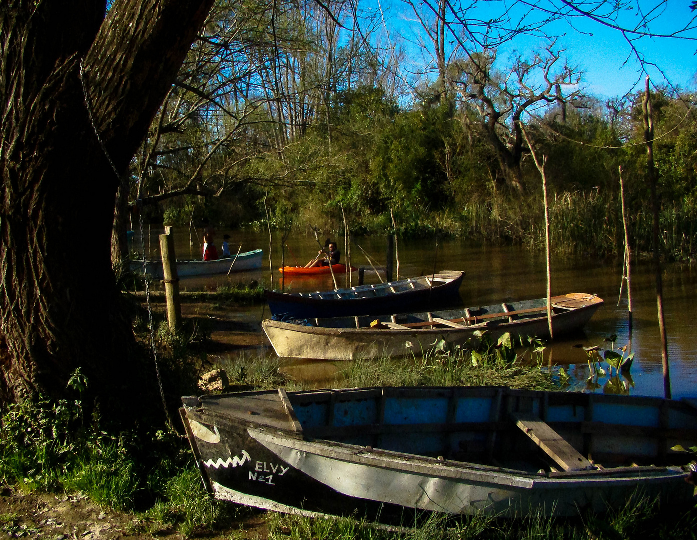 Los botes