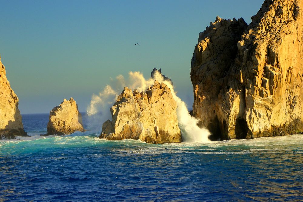 Los Cabos, Baja Caliornia Sur. México by Paula M Zaragoza 