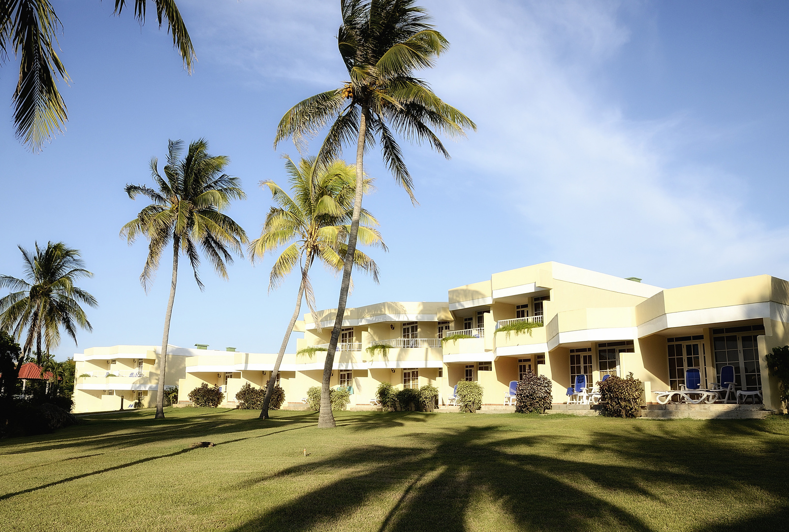 Los Cactus, Varadero (Cuba)