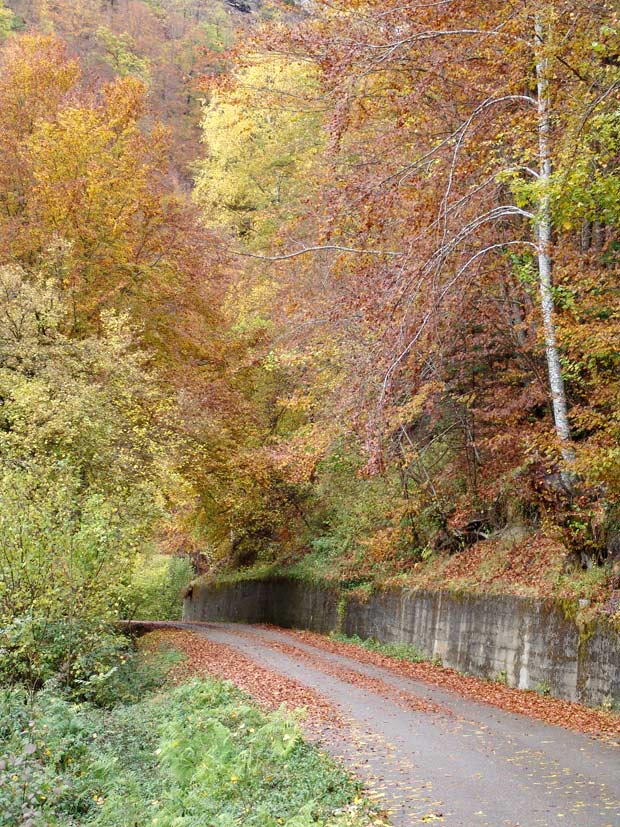 Los Caminos de Otoño