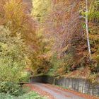 Los Caminos de Otoño