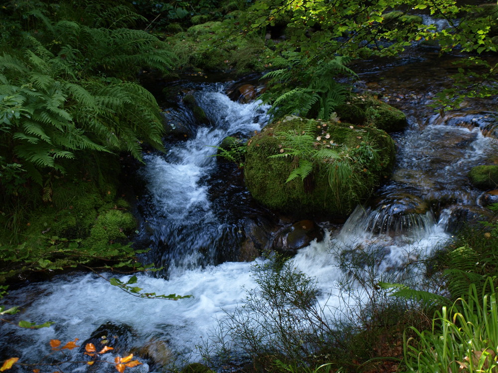 los caminos del Agua