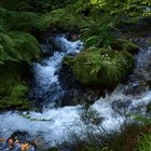 los caminos del Agua