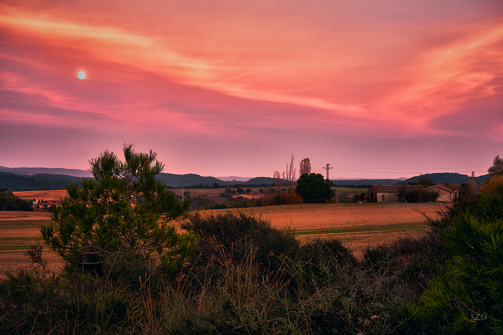 Los campos al atardecer