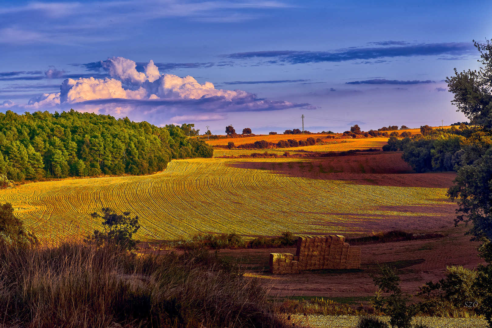 Los campos del Pi