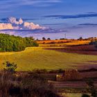 Los campos del Pi