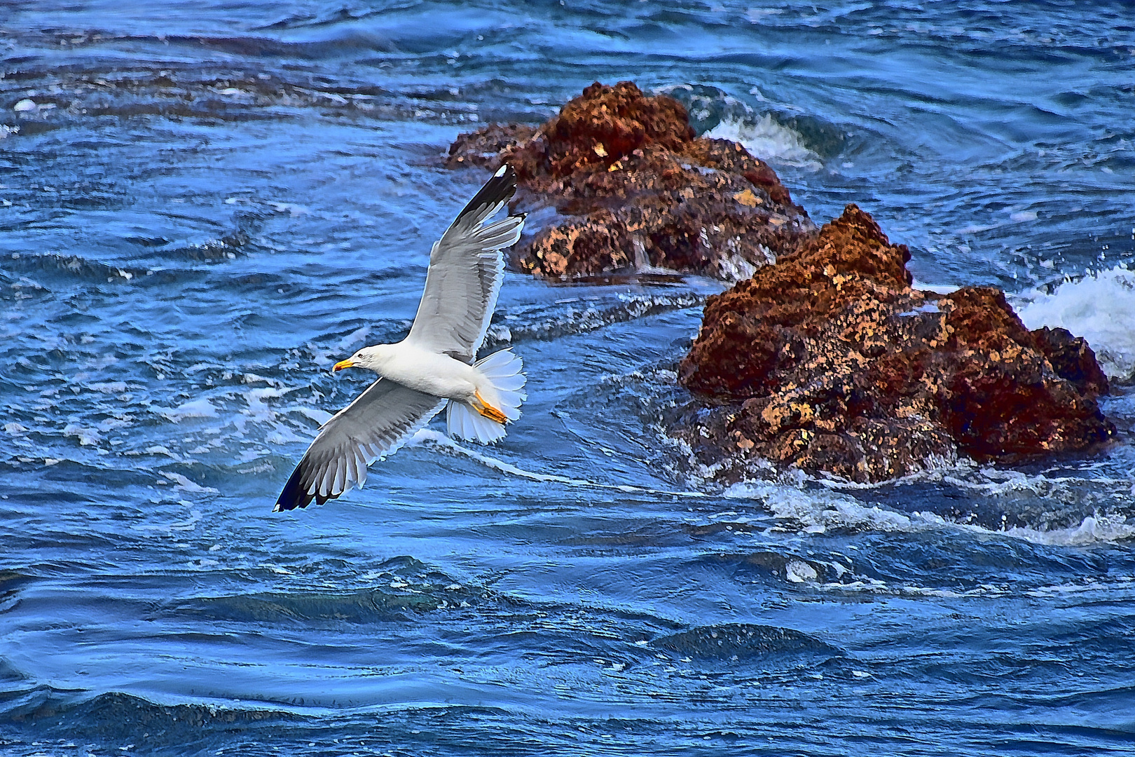 Los Cancajos / La Palma