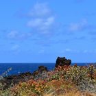 Los Cancajos / La Palma