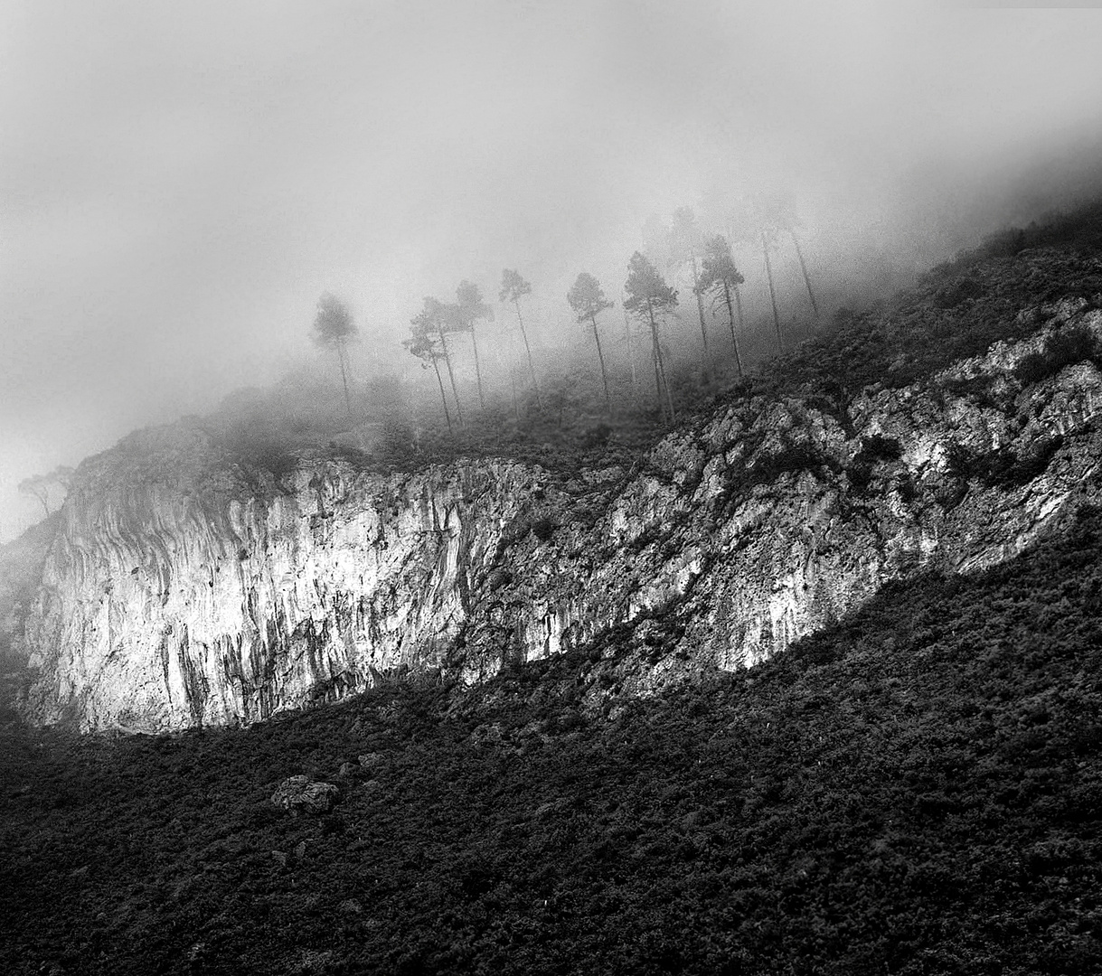 Los centinelas de la montaña