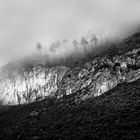 Los centinelas de la montaña