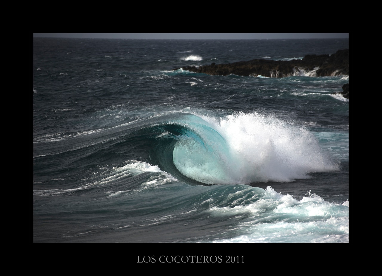 Los Cocoteros 2011