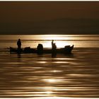 LOS COLORES DE LA ALBUFERA