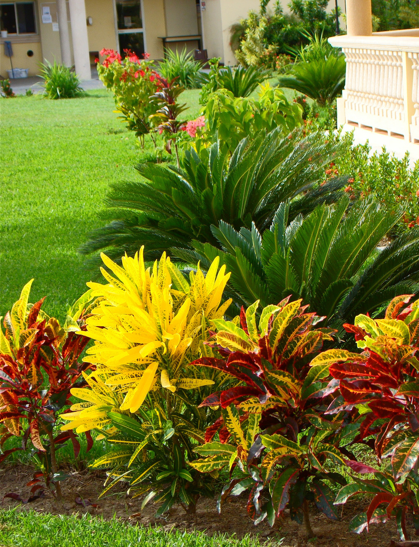 Los colores de la naturaleza