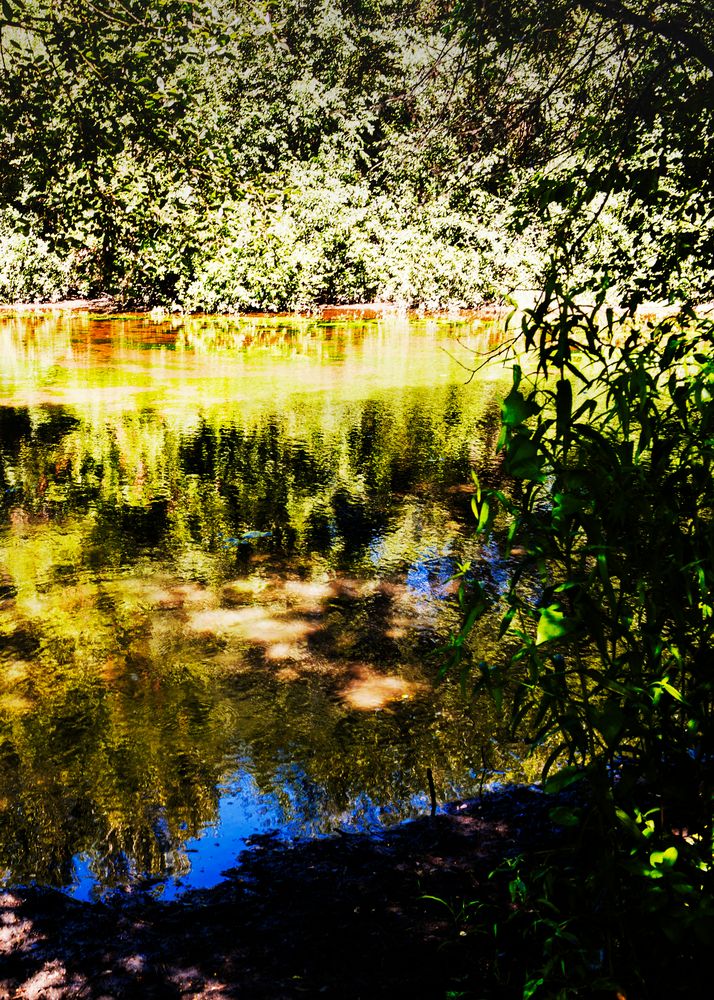LOS COLORES DE LA NATURALEZA Imagen & Foto paisajes, motivos Fotos de LOS COLORES DE LA NATURALEZA Imagen & Foto paisajes, motivos Fotos de
