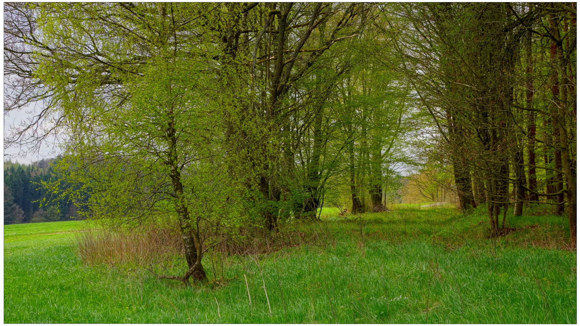 los colores de la primavera (die Farben des Frühlings) Foto & Bild paisajes, campo, naturaleza los colores de la primavera (die Farben des Frühlings) Foto & Bild paisajes, campo, naturaleza