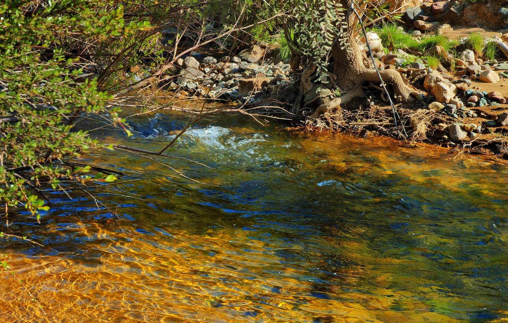 LOS COLORES DEL AGUA