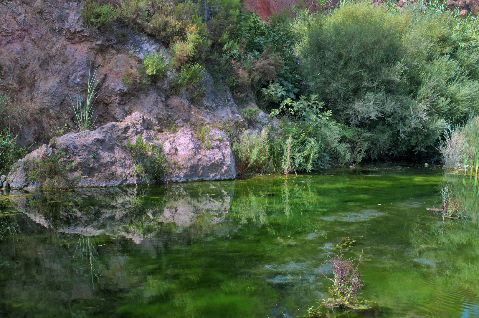 LOS COLORES DEL AGUA