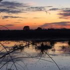 Los colores del atardecer