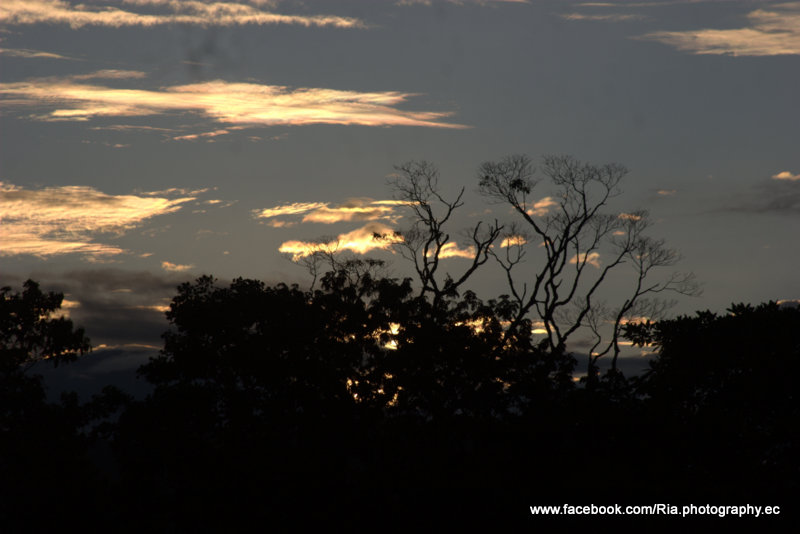 Los colores del atardecer