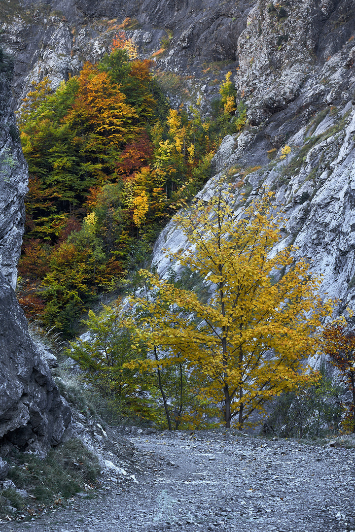 Los colores del camino