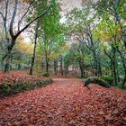 Los colores del Otoño