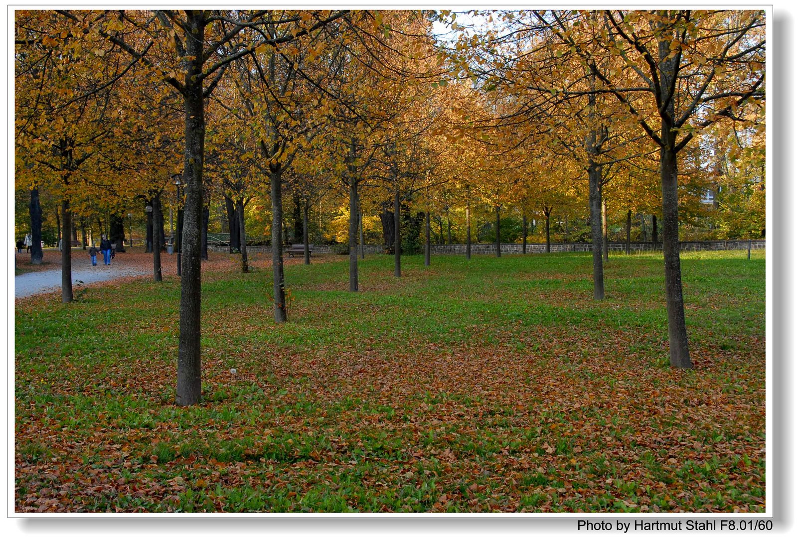 Los colores del otoño, en el parque (Die Farben des Herbstes)