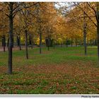 Los colores del otoño, en el parque (Die Farben des Herbstes)