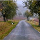 Los colores del otoño VIII, carretera por los campos