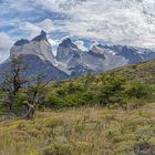 Los Cuernos