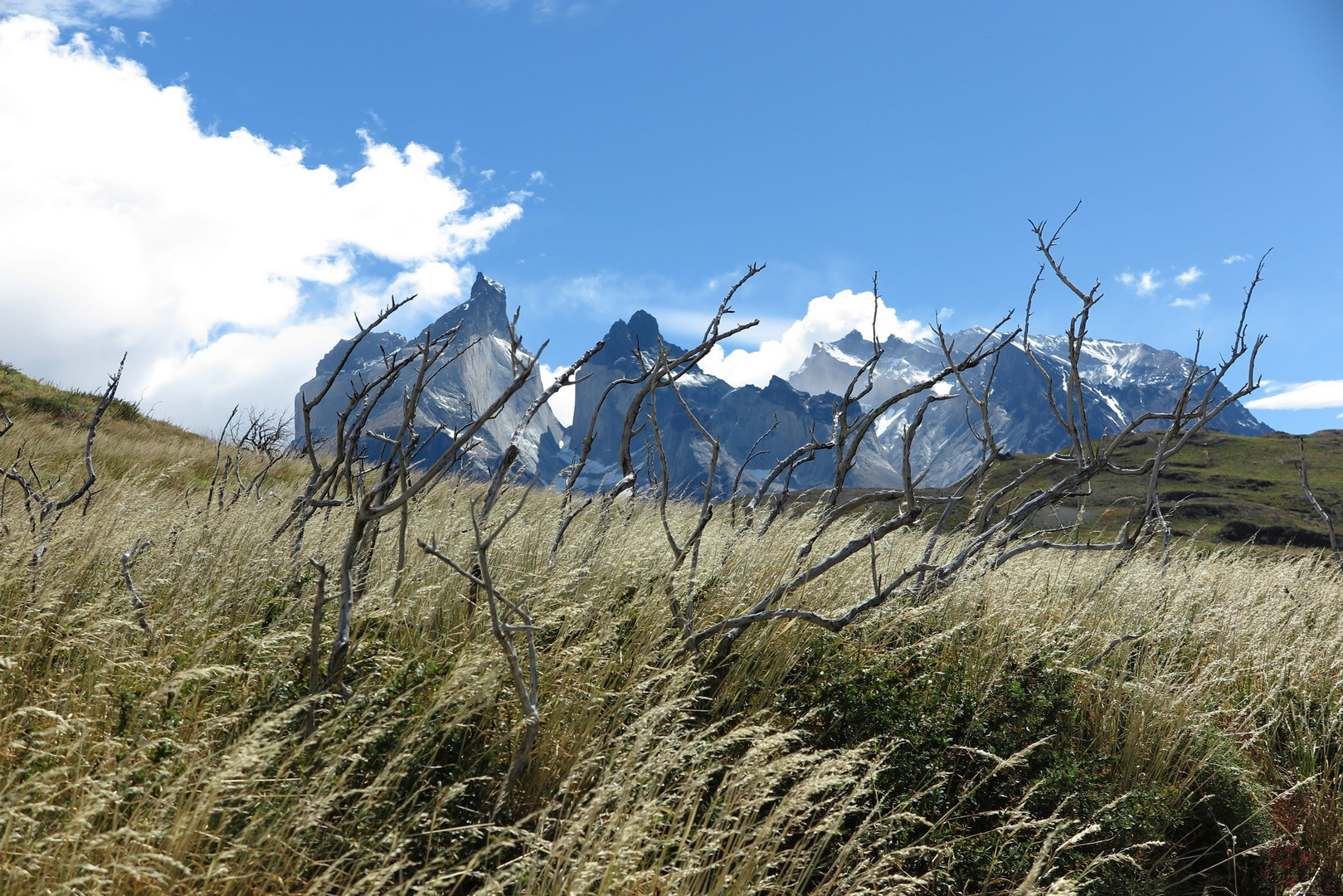 Los Cuernos - Torres del Paine