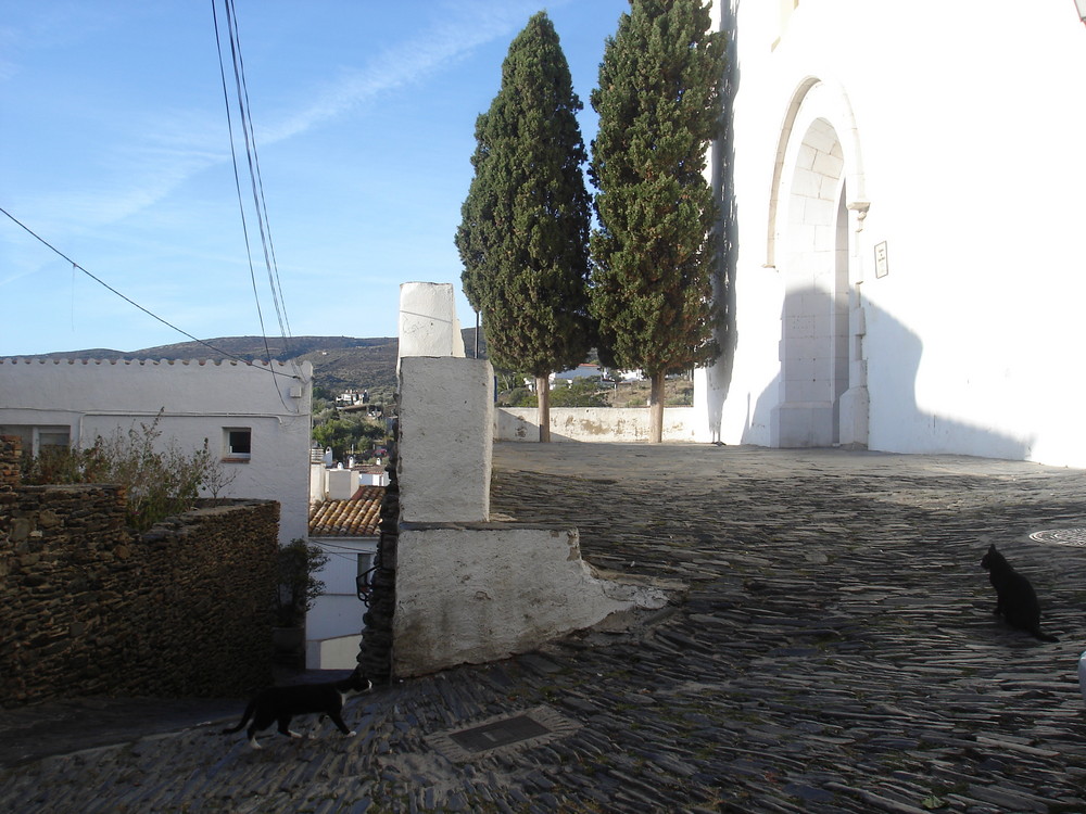 Los gatos de Cadaques