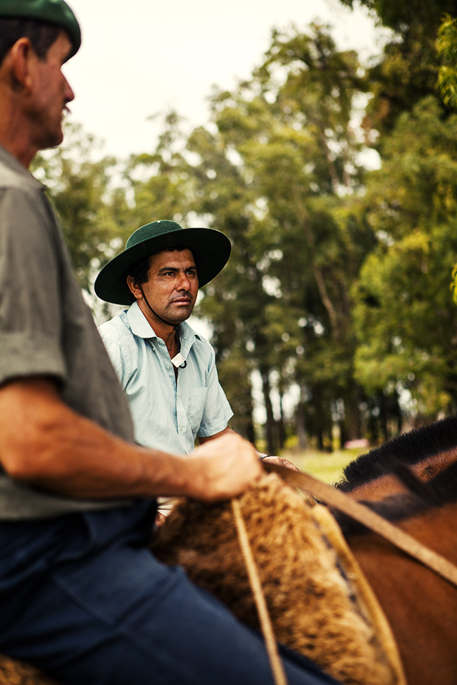 Los Gauchos de la Cañada brava