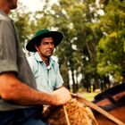 Los Gauchos de la Cañada brava