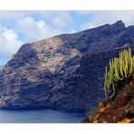 Los Gigantes