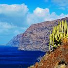 Los Gigantes