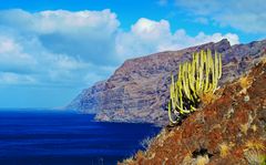 Los Gigantes