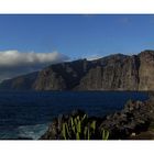 Los Gigantes