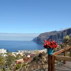 Los Gigantes