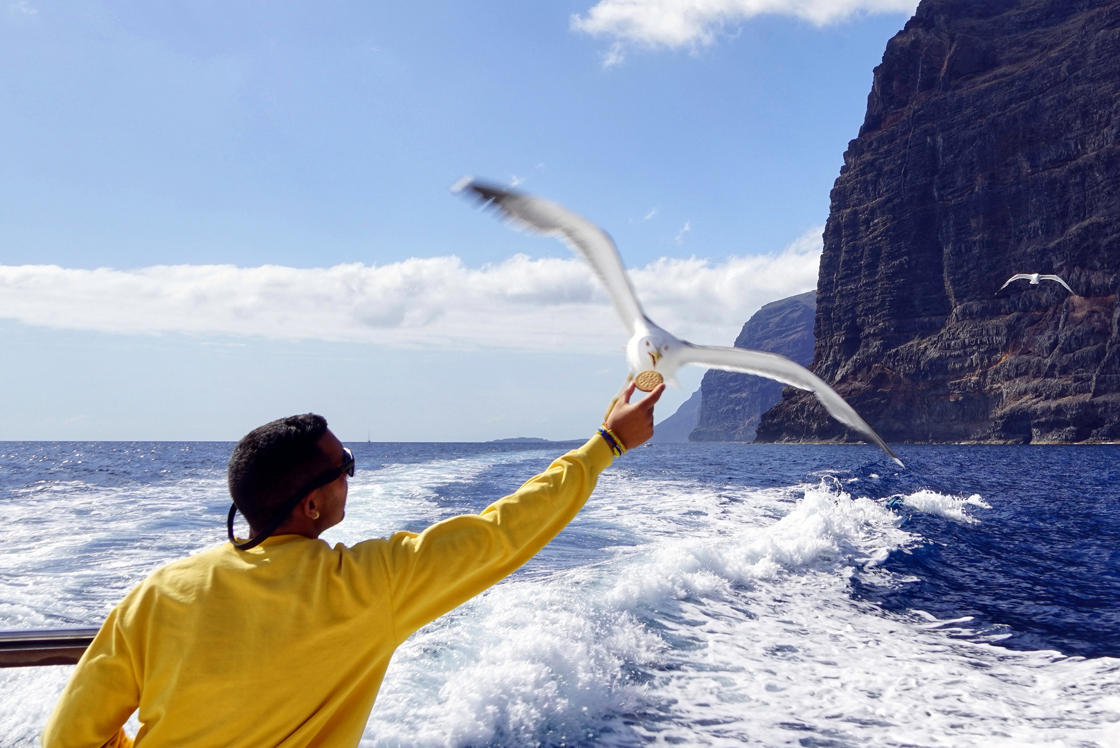 Los Gigantes  Tenerife Spain