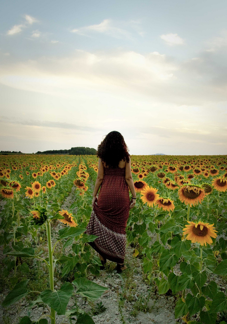 Los Girasoles de Emma