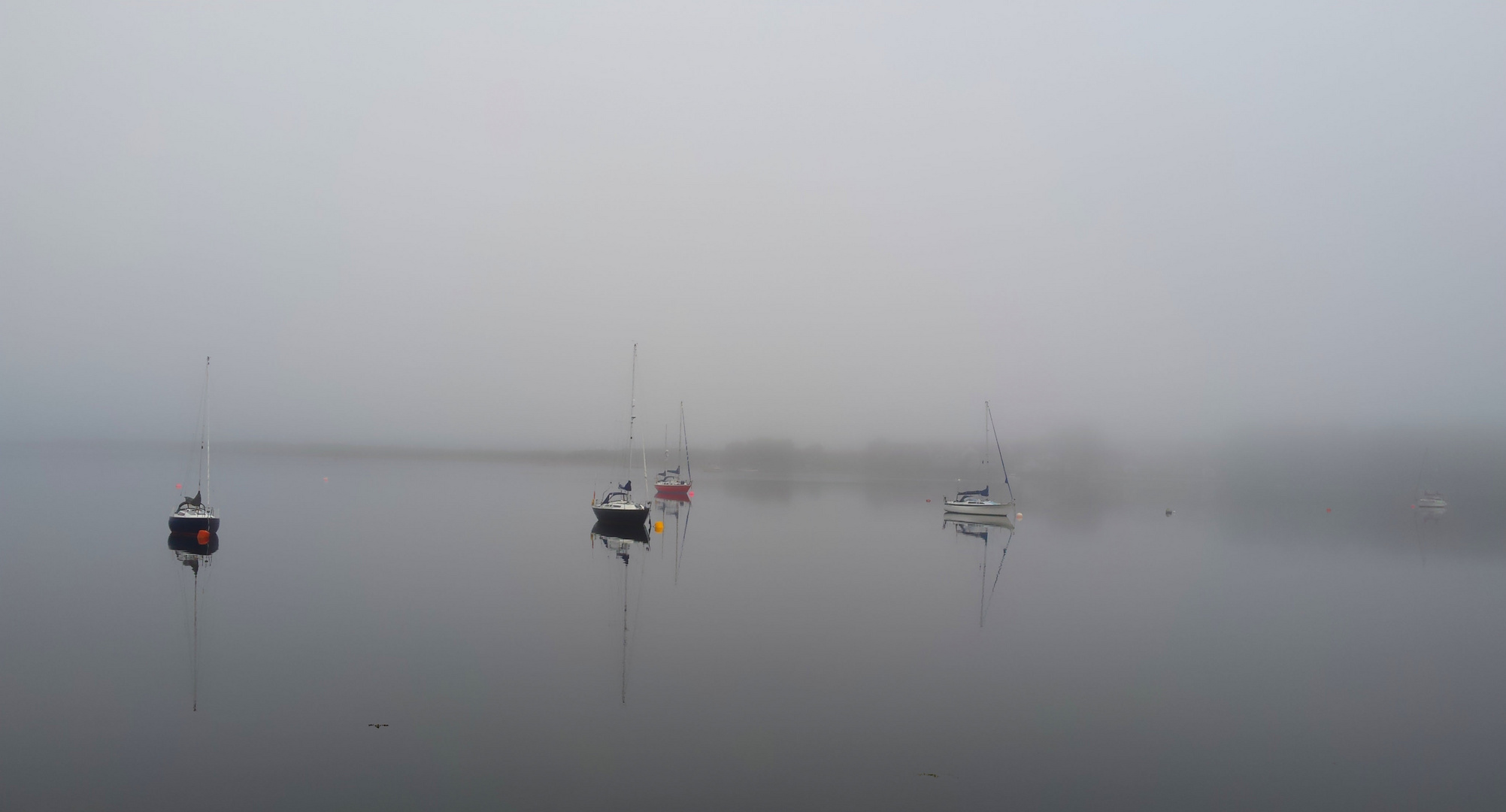 LOS GUARDIANES DE LA NIEBLA