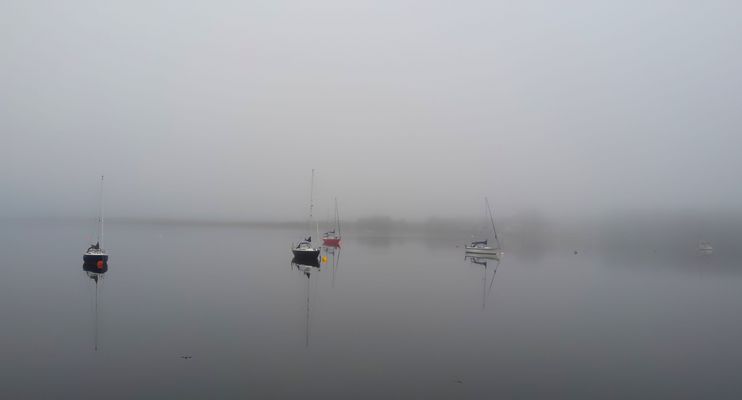 LOS GUARDIANES DE LA NIEBLA