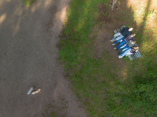 Los ihr 4, weiter geht´s!