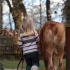 Los lass uns Pferde stehlen gehen.......