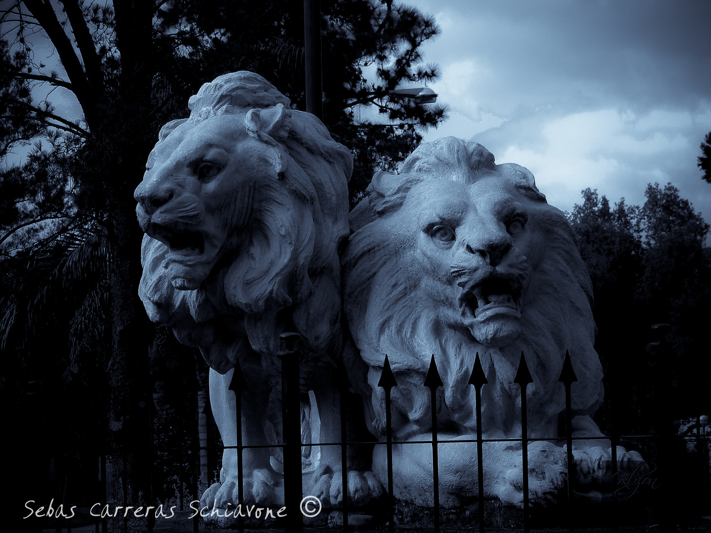 LOS LEONES DE LOLA