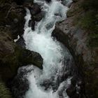 Los Lleuques, Camino Termas de Chillàn (Chile)