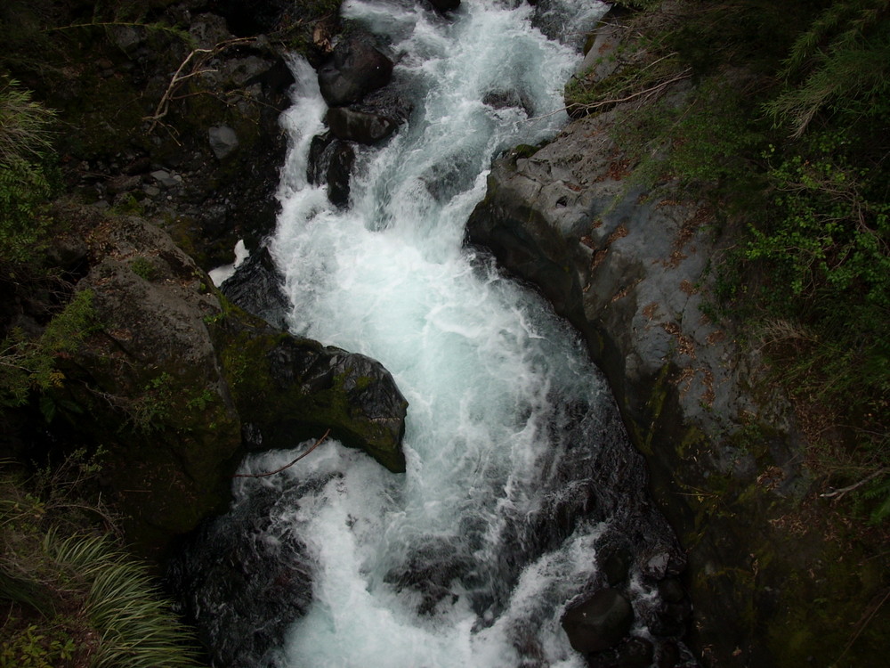 Los Lleuques, Camino Termas de Chillàn (Chile)