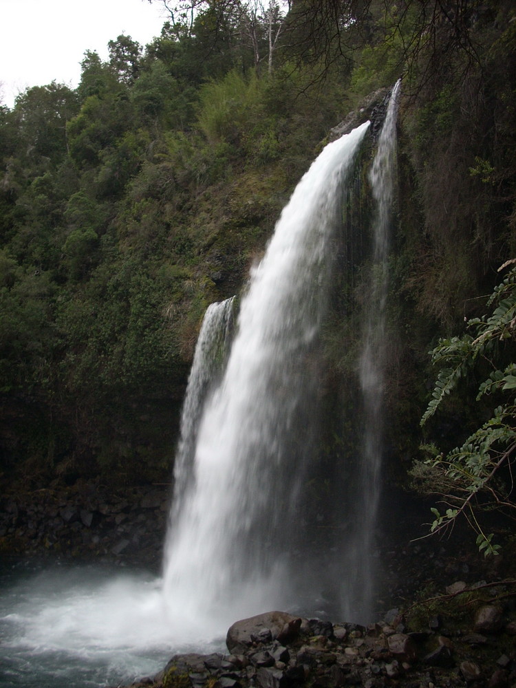 Los Lleuques, Camino Termas de Chillàn (Chile)3